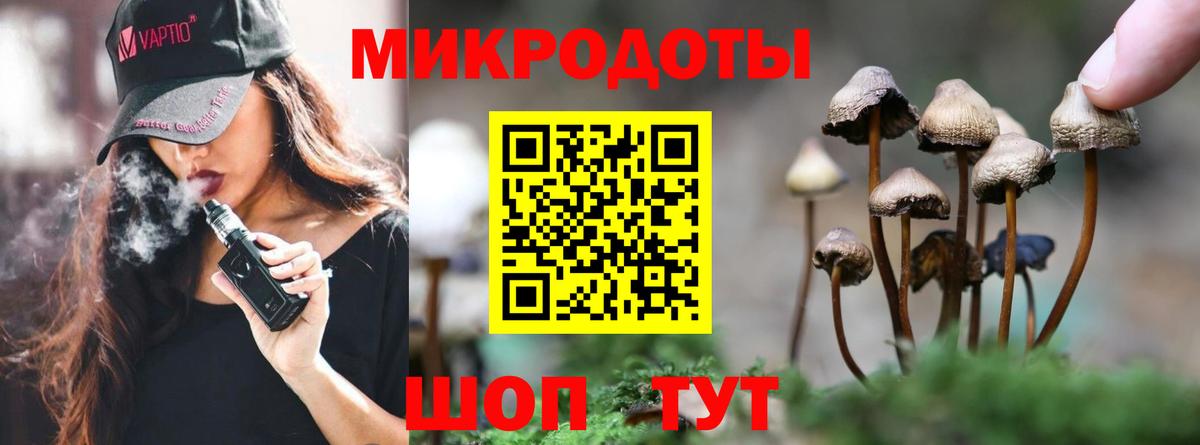 Сунжа  Галлюциногенные грибы Magic Shrooms  Галлюциногенные грибы ЛСД  Вход с VPN 
